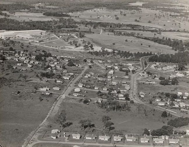 Aerial view of Petrie Township - ca. 1960