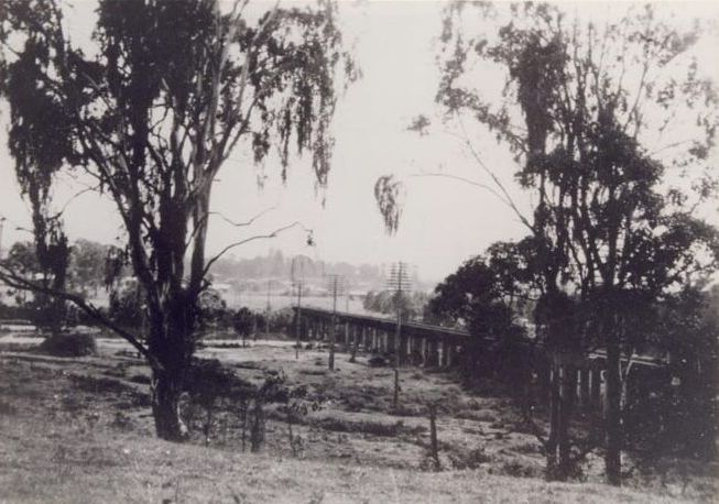 Railway Bridge to Petrie