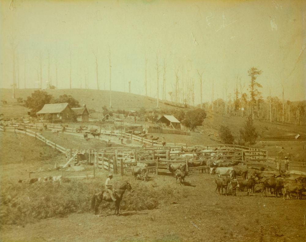 Woodward family's farm at Armstrong Creek