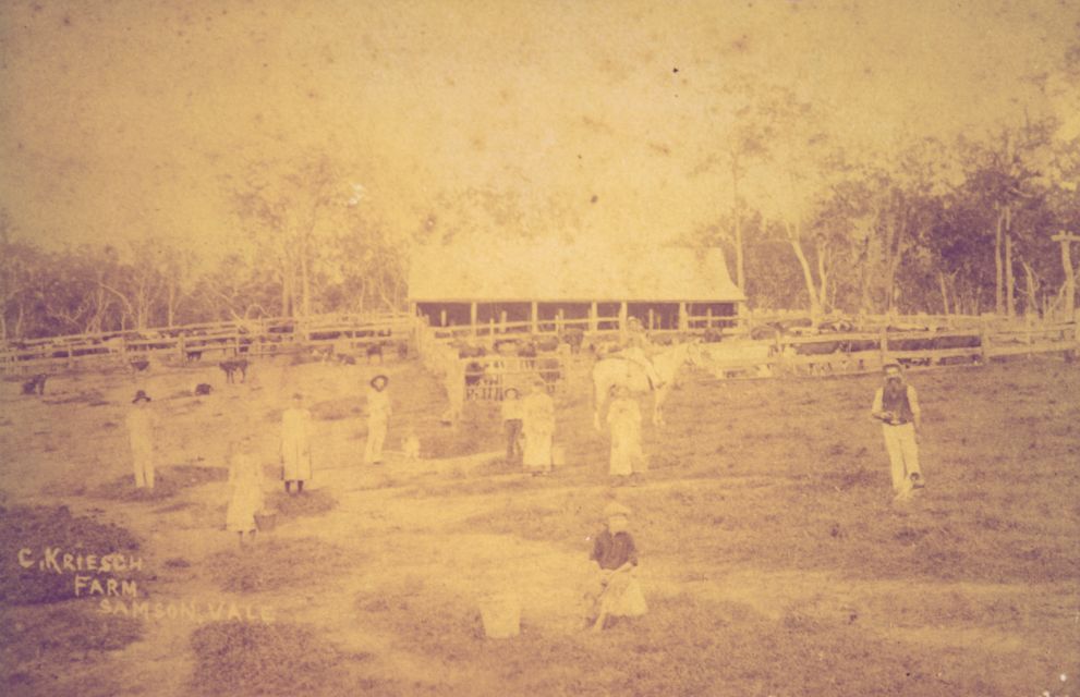 The farm of Christian Frederick Kriesch (1838-1899) and his family at Samsonvale