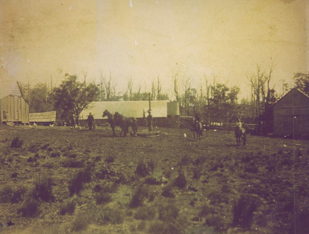 Finn (Finlay Alexander) McLennan's farm at Ocean View