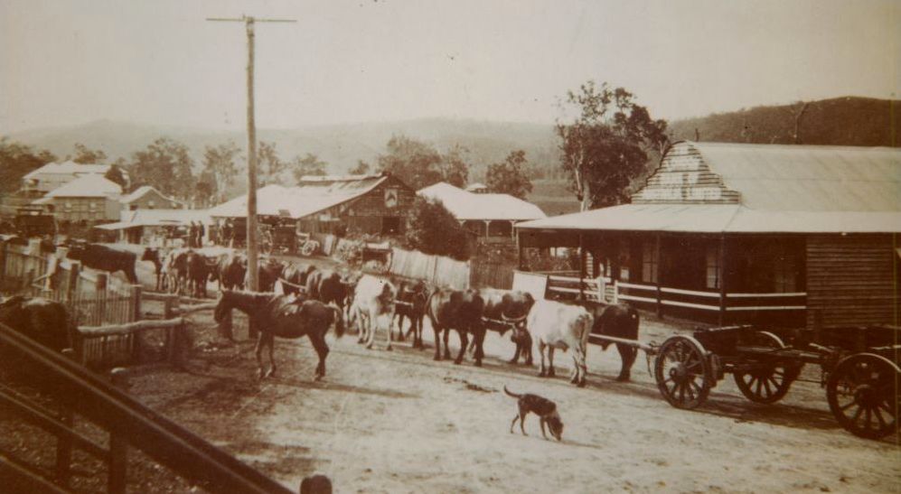 View of McKenzie Street Dayboro, about 1920