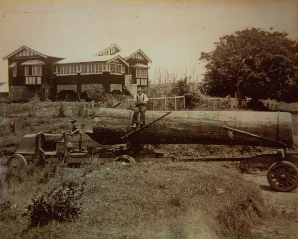 David Evans on a log near Townsend's house, Ocean View