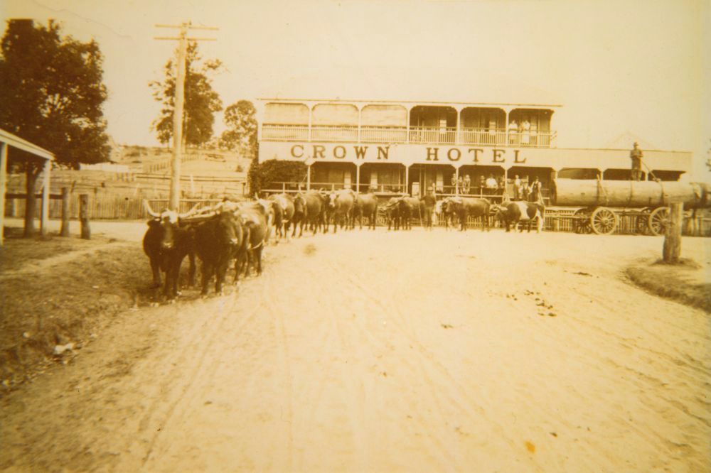Sam Heathwood's bullock team carting timber, Dayboro, 21 February 1923