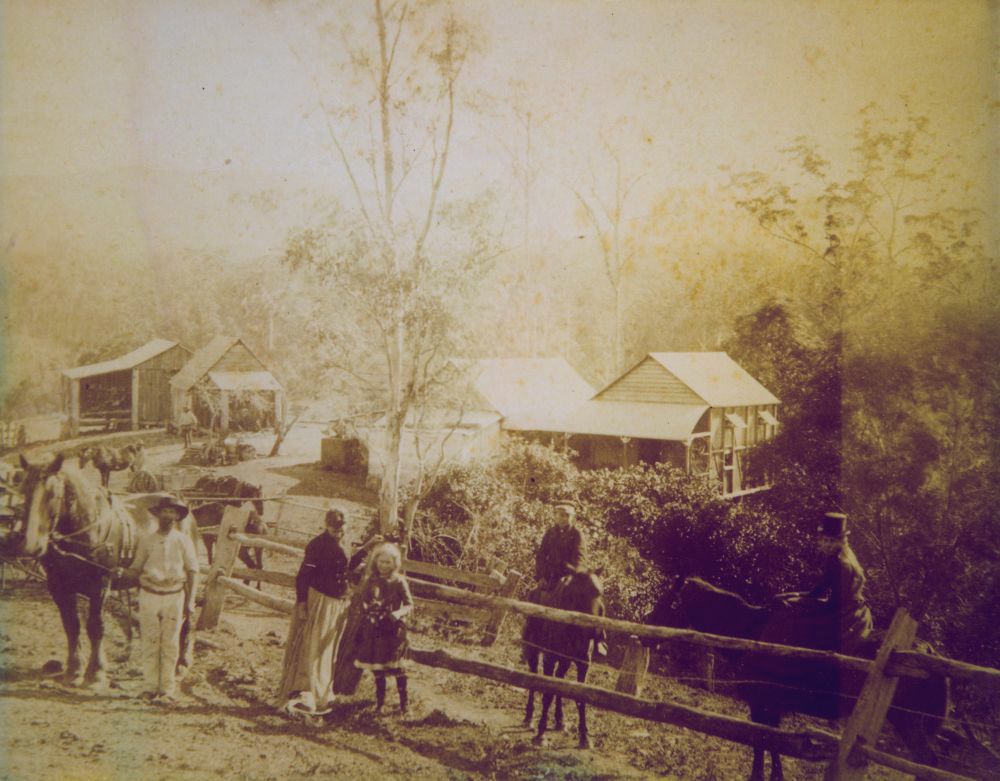 Pioneer homestead of C.T. (Charles Thomas) Williams and family, Mount Pleasant, ca. 1890
