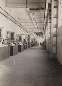 Botany - Harland Drive Annexe