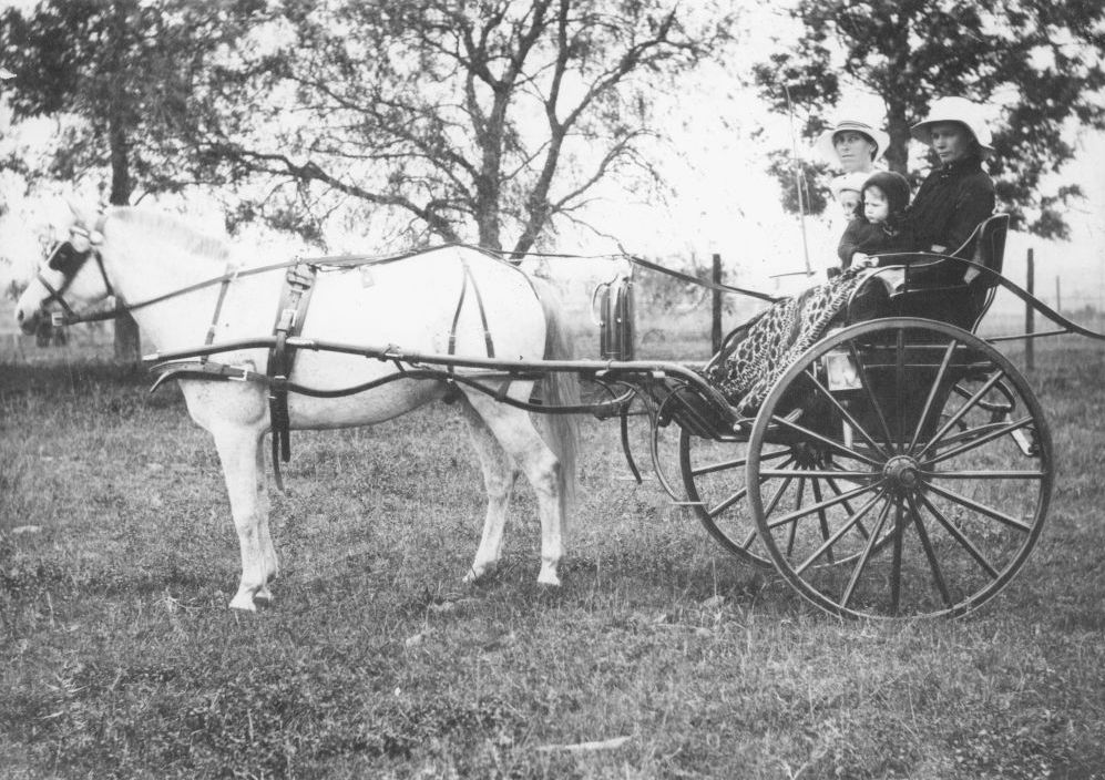 Mrs Gwynne and family with Gertrude Coulthard travelling by horse and sulky, ca. 1930