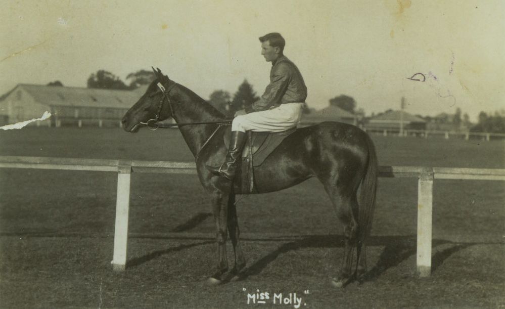 Piggott's horse, Miss Molly, at the Strathpine Racecourse