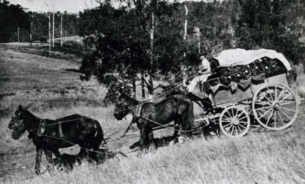 Wagon load of bananas, Camp Mountain