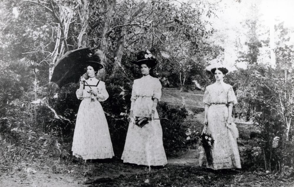 Misses Eleanor Caroline, Mary Charlotte and Georgina Gold