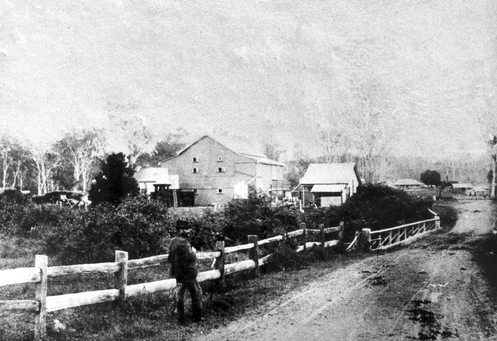 Silverwood Butter Factory, Terrors Creek (Dayboro), ca. 1903