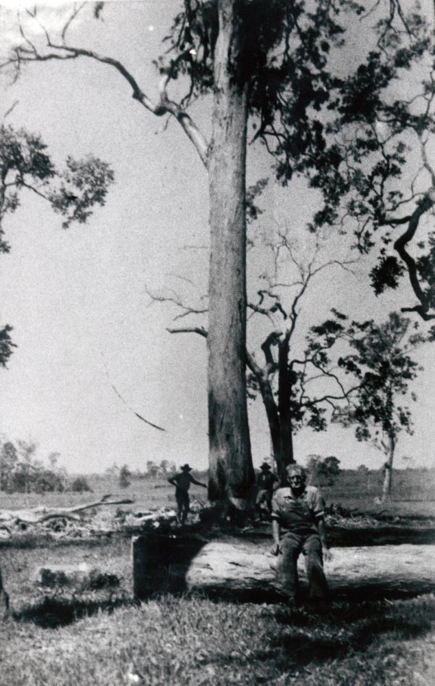 The doomed giant, 1961