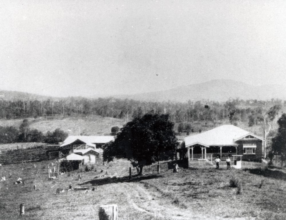 R. Morrison and son's dairy farm, Samford, 1928