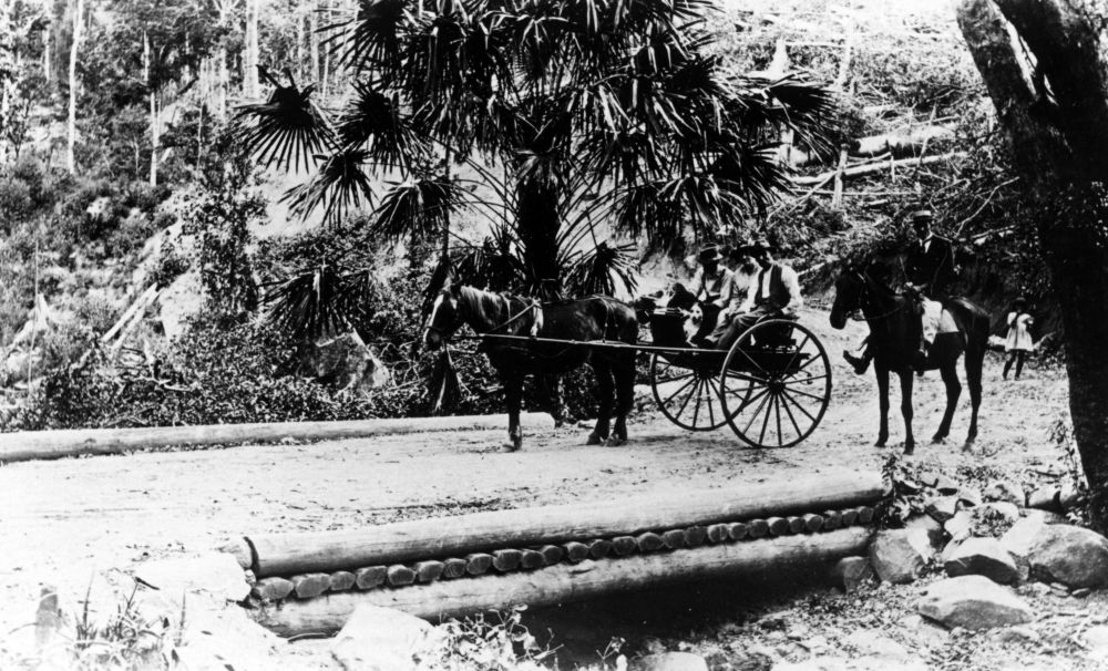 Picnic parties at Dawson Creek, Highvale