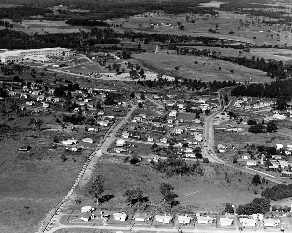 Aerial photograph of Petrie, 1956