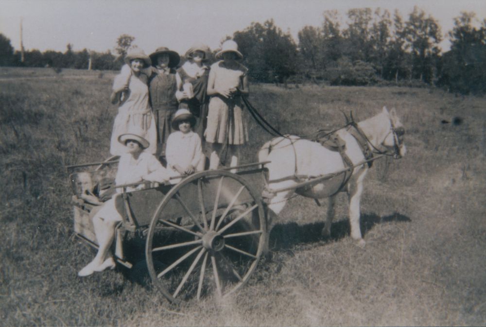 Pony and sulky at Harrison's Pocket in the 1920s
