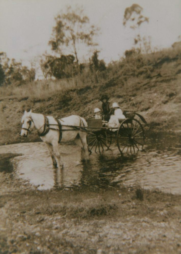 Horse and sulky with Quinn family, 1920s
