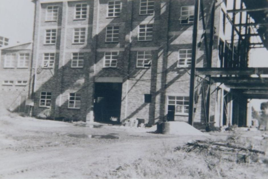 Australian Paper Manufacturers (APM) Petrie Mill, under construction, 1950s