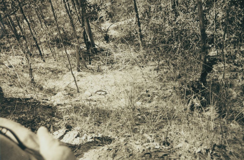 Scenes along the way from the Ferny Grove to Dayboro Train Walk 1994