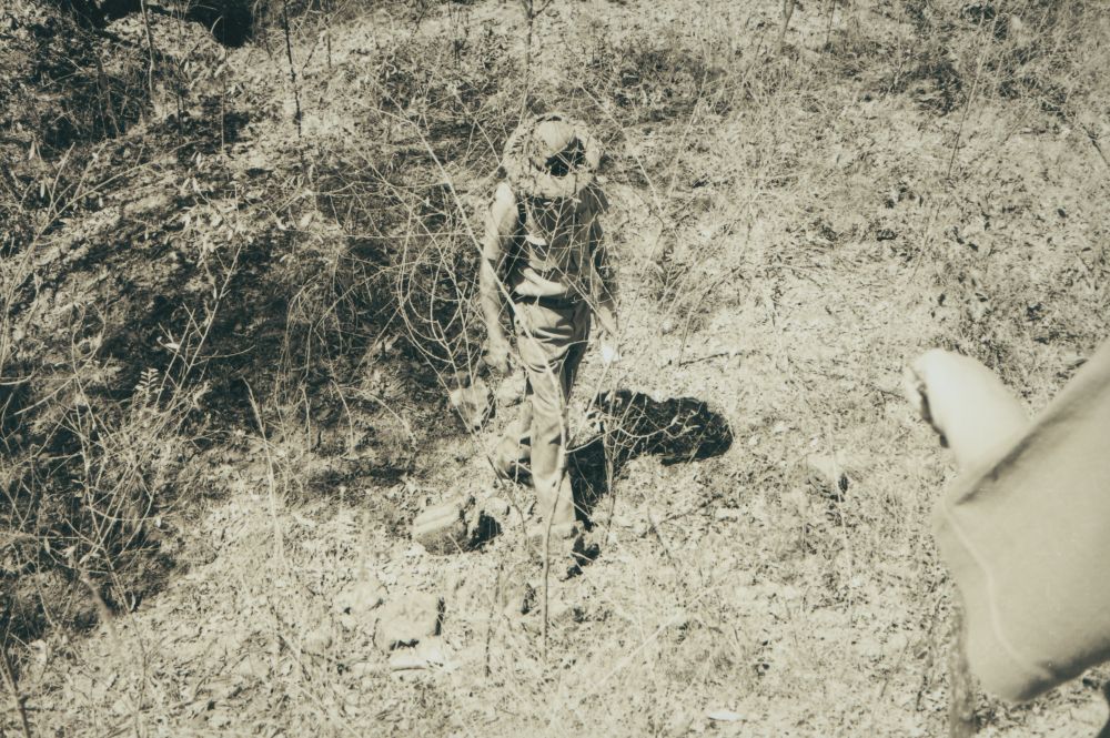 Scenes along the way from the Ferny Grove to Dayboro Train Walk 1994