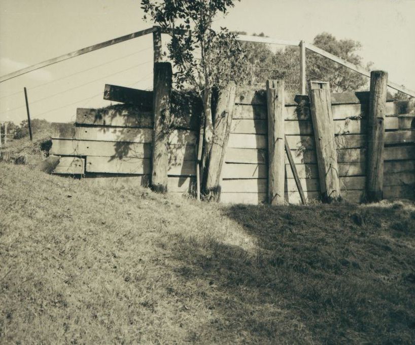Scenes along the way from the Ferny Grove to Dayboro Train Walk 1994