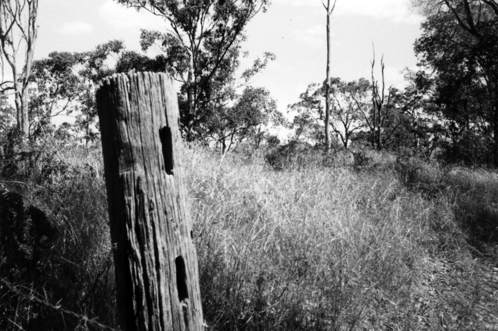 Site of Upper North Pine School, Dayboro