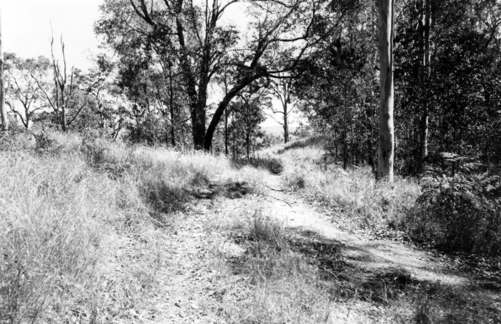 Site of Upper North Pine School, Dayboro