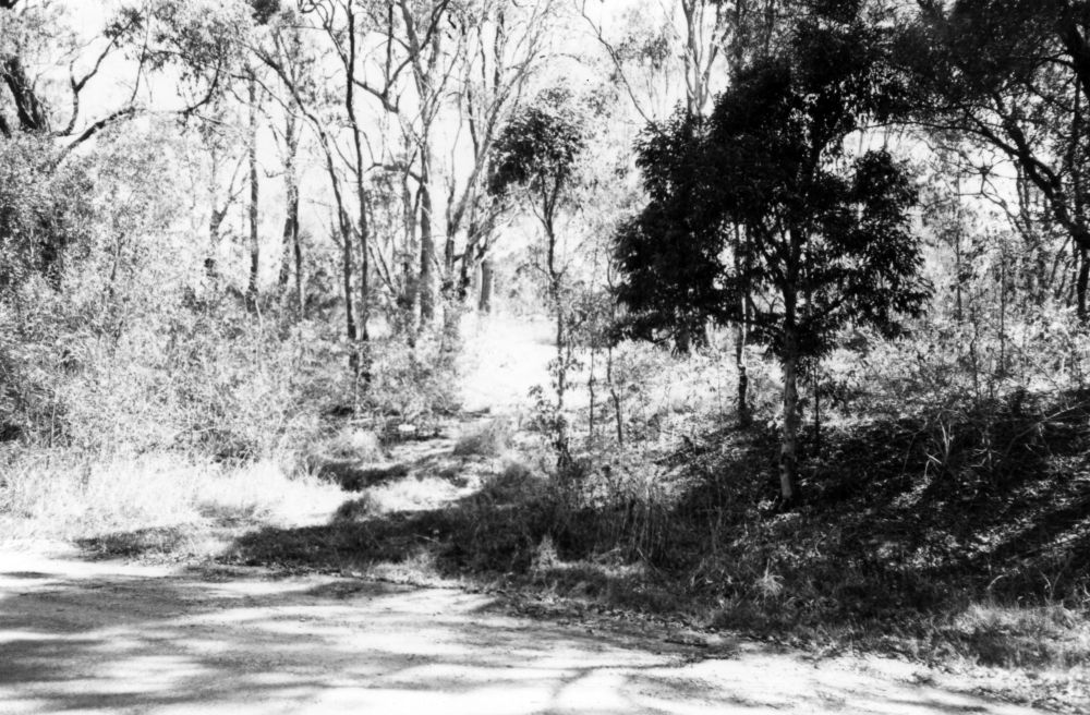 Site of Upper North Pine School, Dayboro