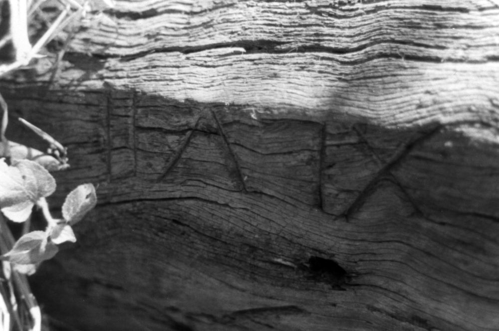 Pier 3 W side Bridge 36 / 26 metres / 52 chains