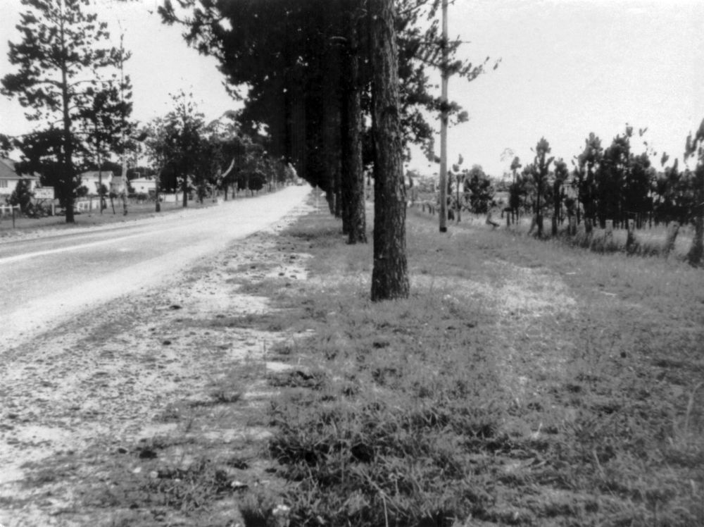 A section of Anzac Avenue Kallangur in 1964