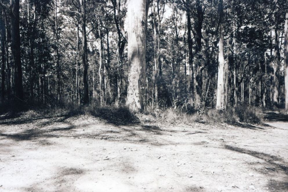 Mt Nebo and Mt Glorious trip for heritage sites