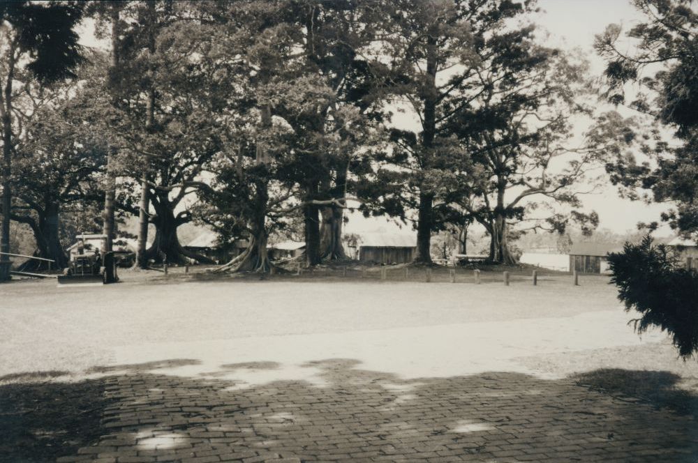 North Pine Country Park - Looking towards barns from Hyde House