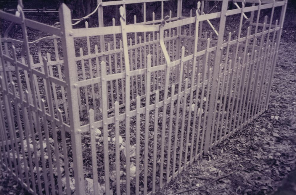 Albany Creek cemetery