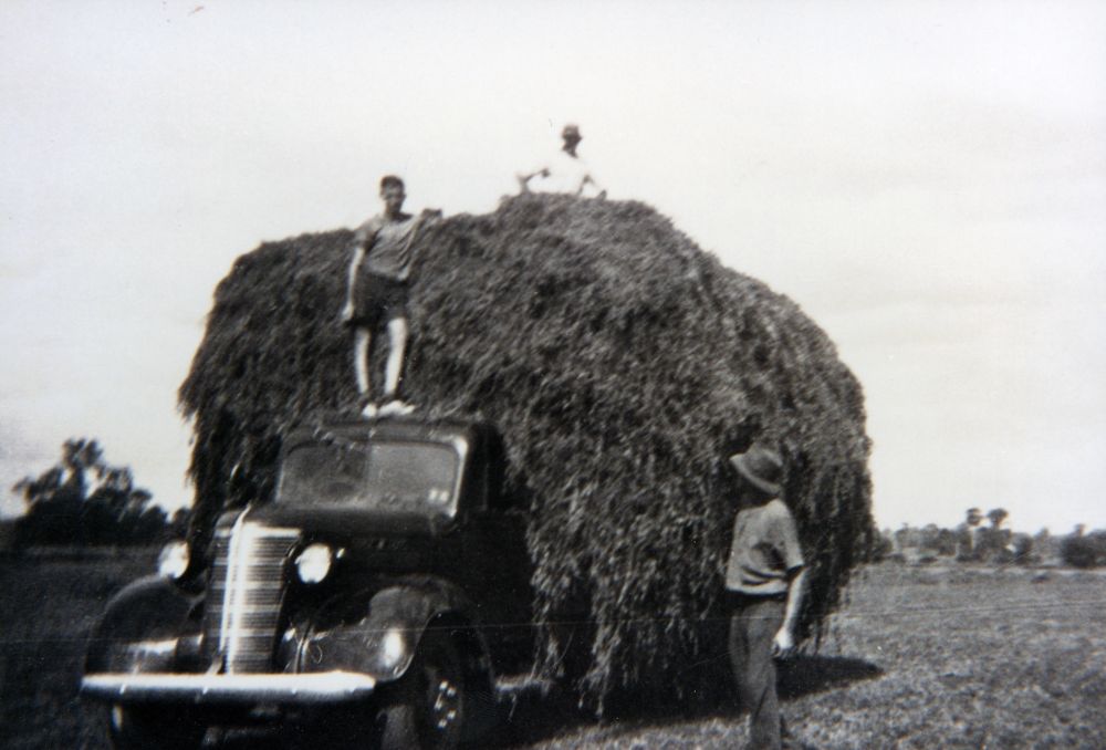 Loading hay onto a truck on England's farm, South Pine Road Brendale