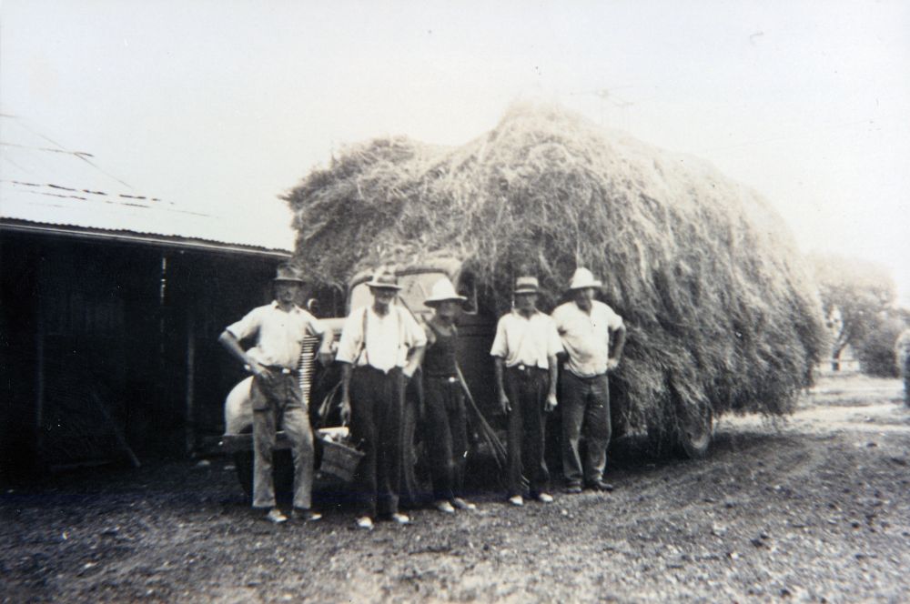 Farm workers with a truckload of hay on England's farm, South Pine Road Brendale