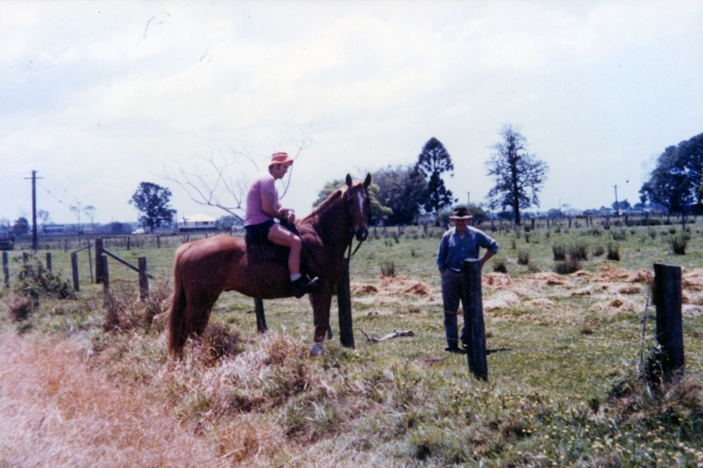 Farmland on England's property, South Pine Road Brendale