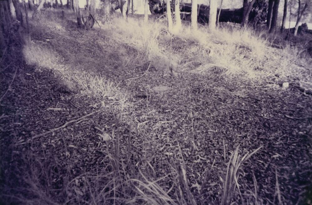 Remains of concrete slabs associated with United States Army activity near Kremzow Road Warner, 1995