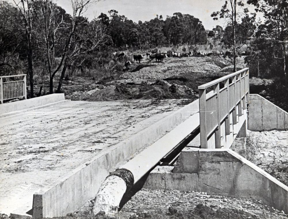 Opening new land in the Pine Rivers Shire