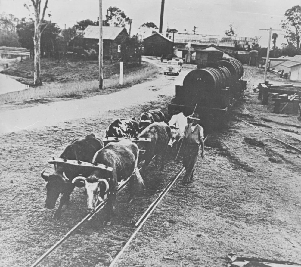 Normanby Distillery from the railway line looking towards the South Pine River, 1949