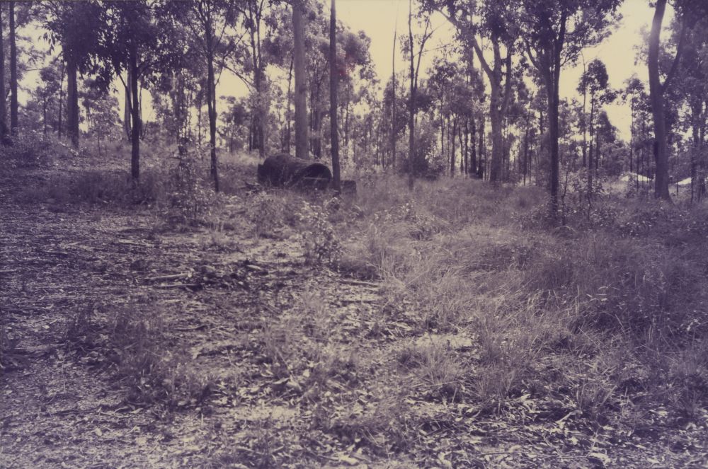 U.S. (American) 1st Cavalry Division camp, Warner