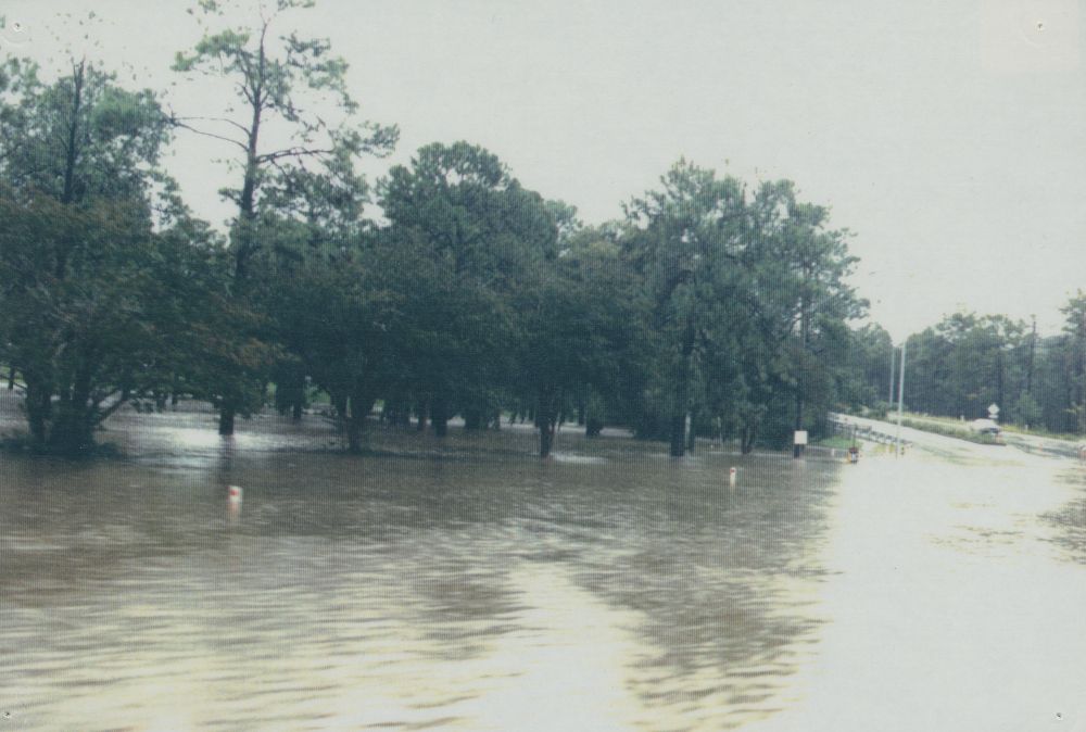 Flood waters of the North Pine River in Wyllie Park, Petrie, 1983