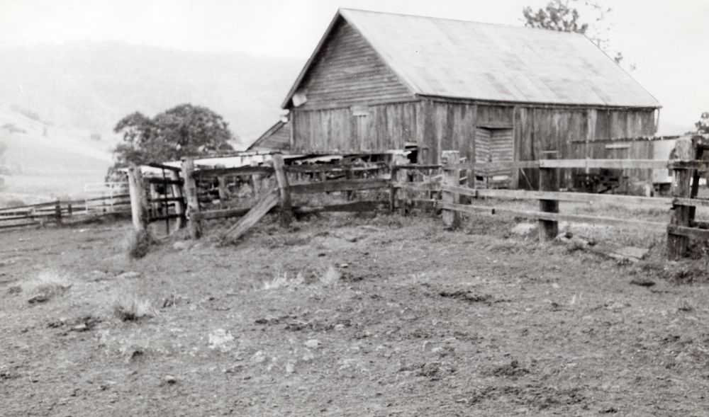 Slab barn on property owned by Owen Leis, Woodford Road Dayboro, 1976