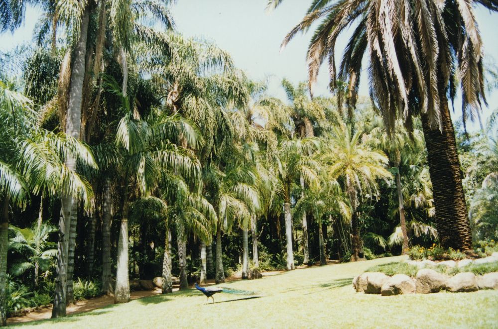 Gardens at Alma Park Zoo, ca. 1990