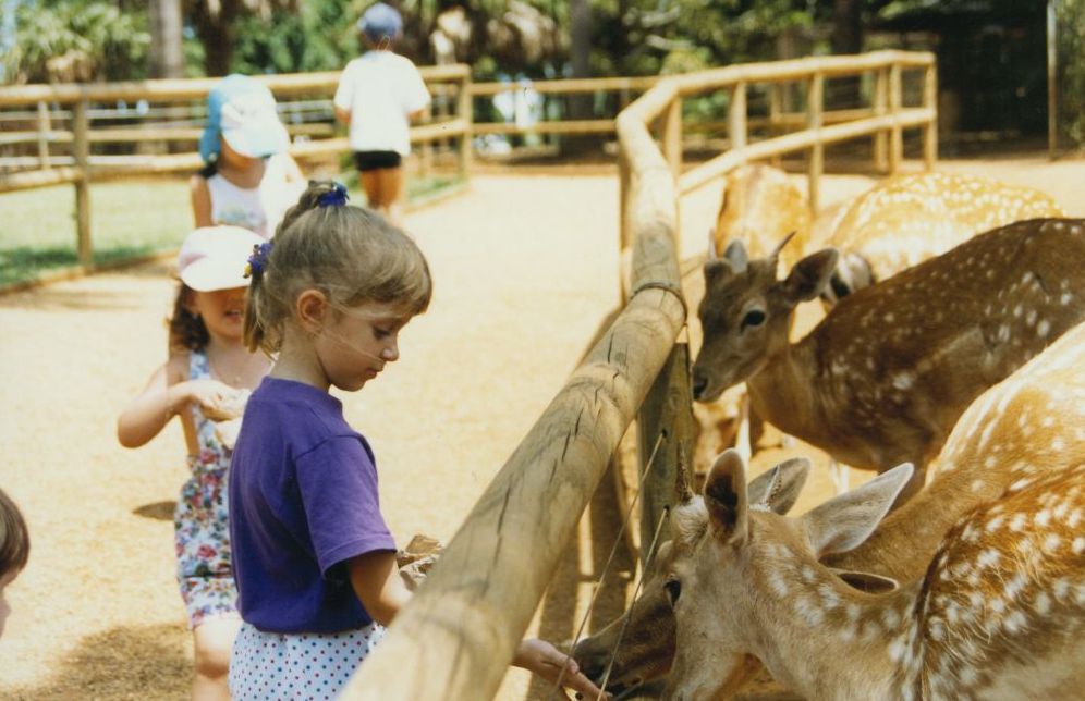 Children feeding spotted deer at Alma Park Zoo, ca. 1990