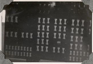 Maryvale - Fuse Panel