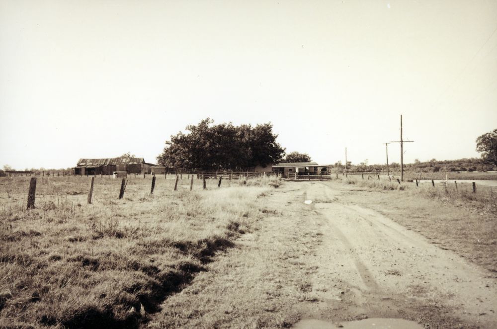 Raynbird farm, Strathpine, ca. 1994