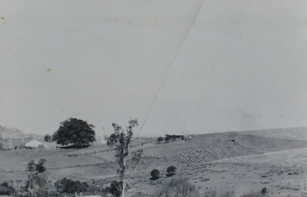 Glengariff Historic Estate, King Scrub, ca. 1900