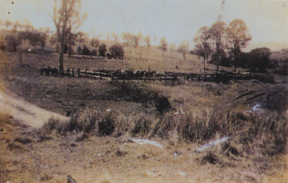 Glengariff Historic Estate, King Scrub, ca. 1900