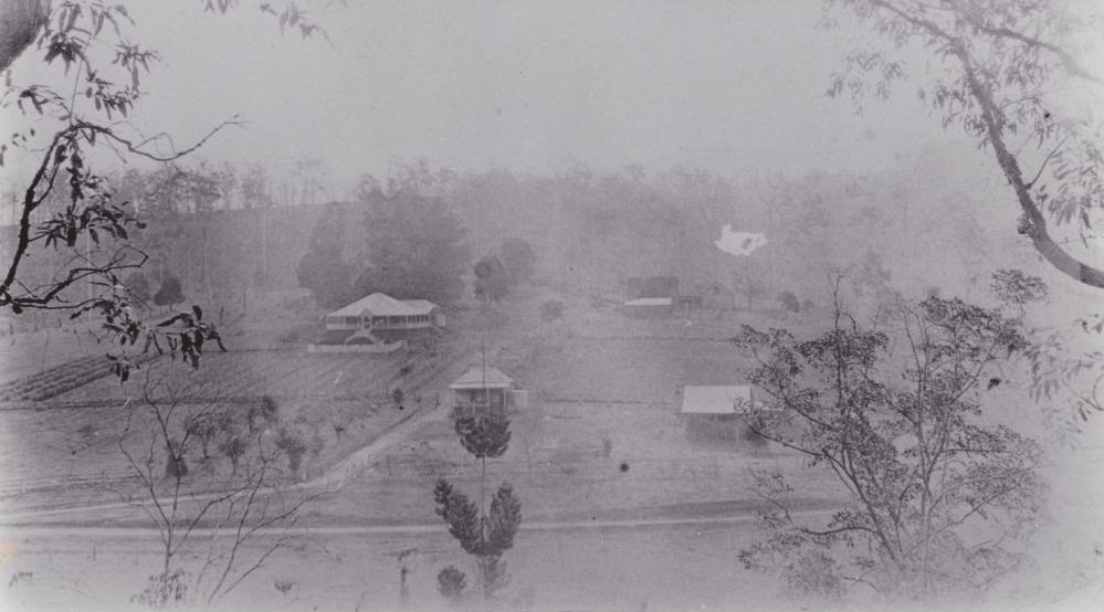 Wirth family vineyards, early 1940s