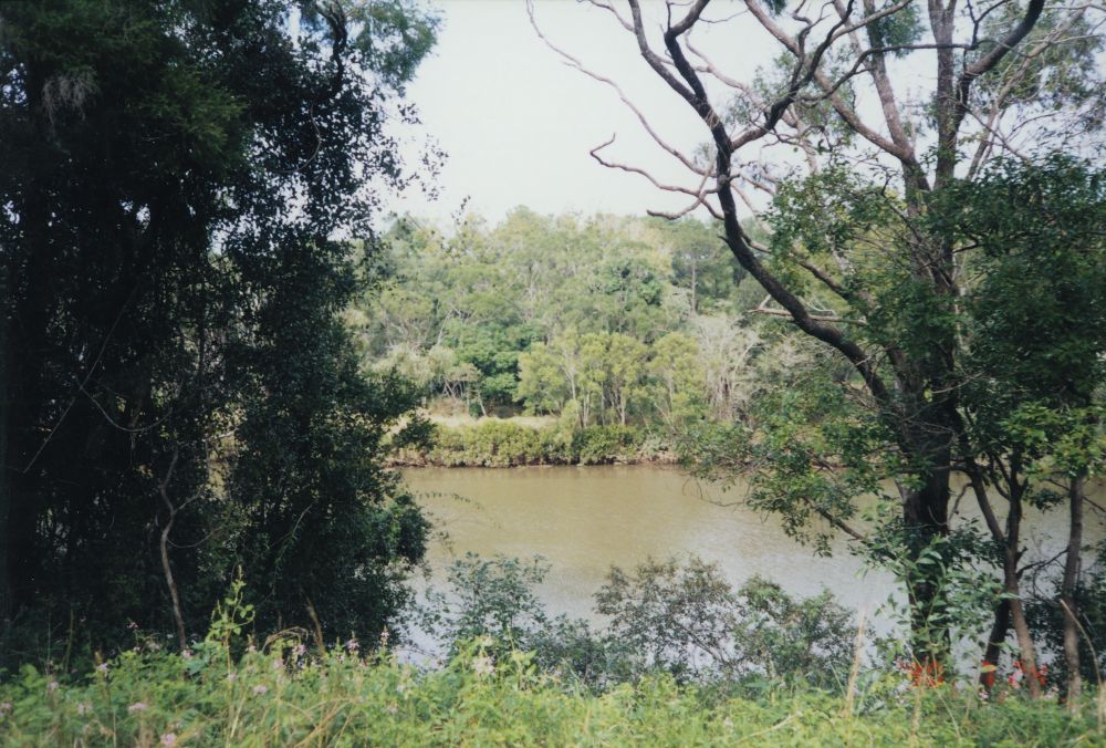 Original site of Acclimatisation Society Gardens at Lawnton, 1996